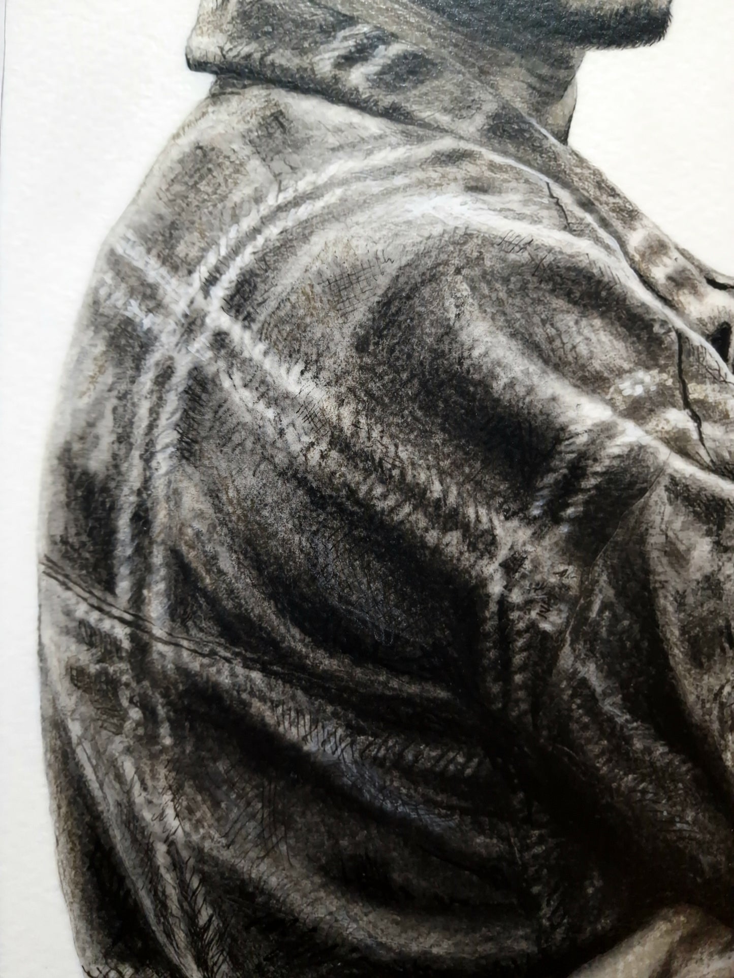 The Rose That Grew From Concrete