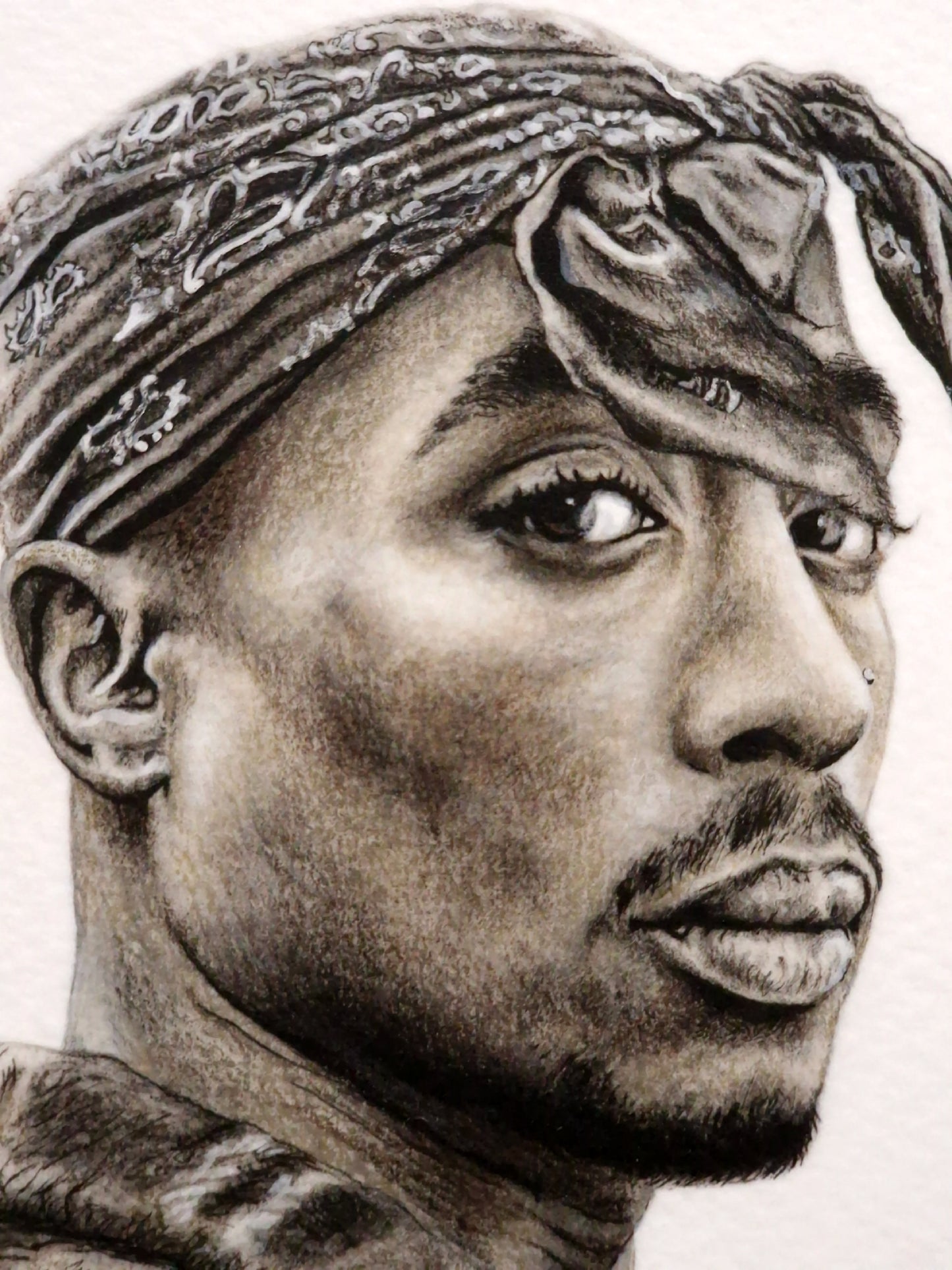 The Rose That Grew From Concrete