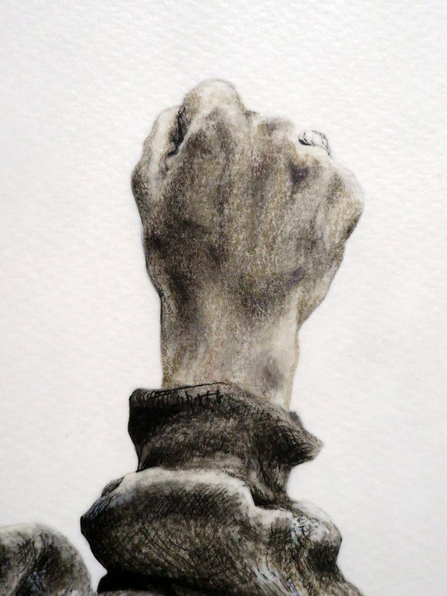 The Rose That Grew From Concrete