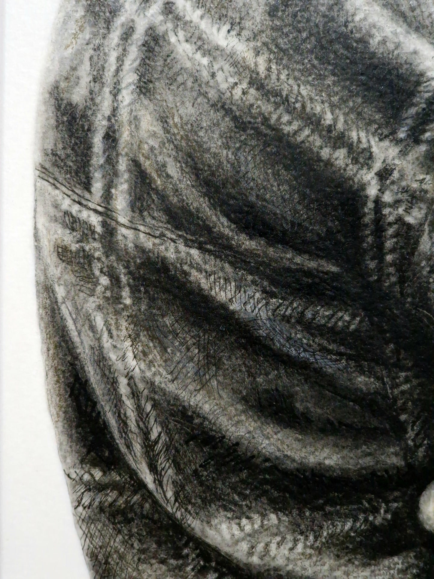 The Rose That Grew From Concrete