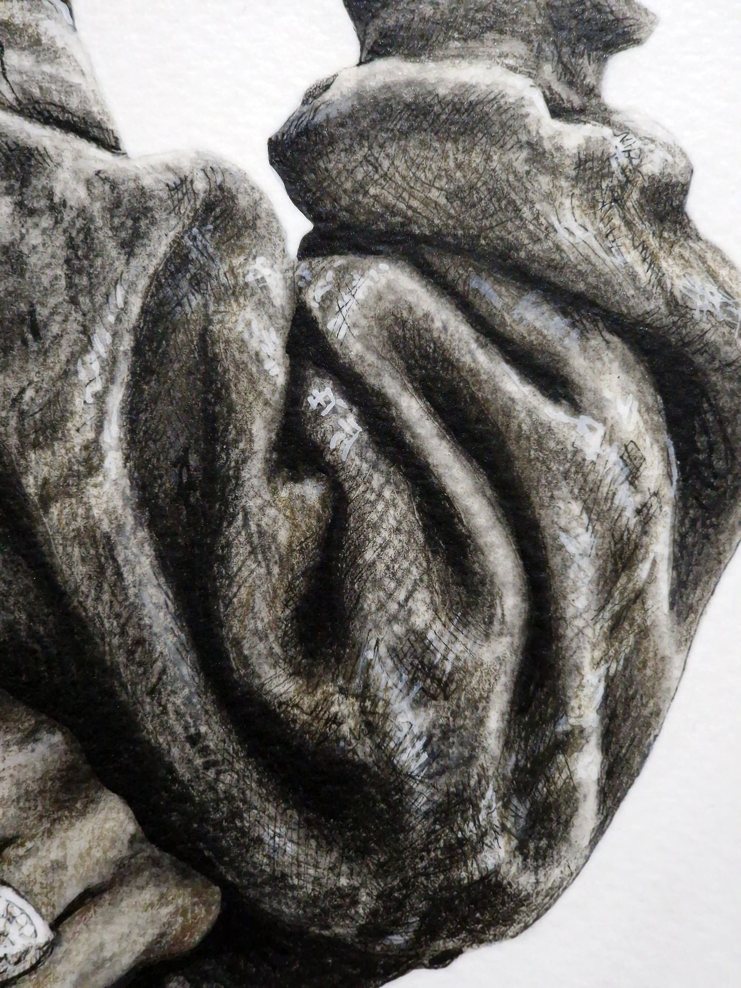 The Rose That Grew From Concrete