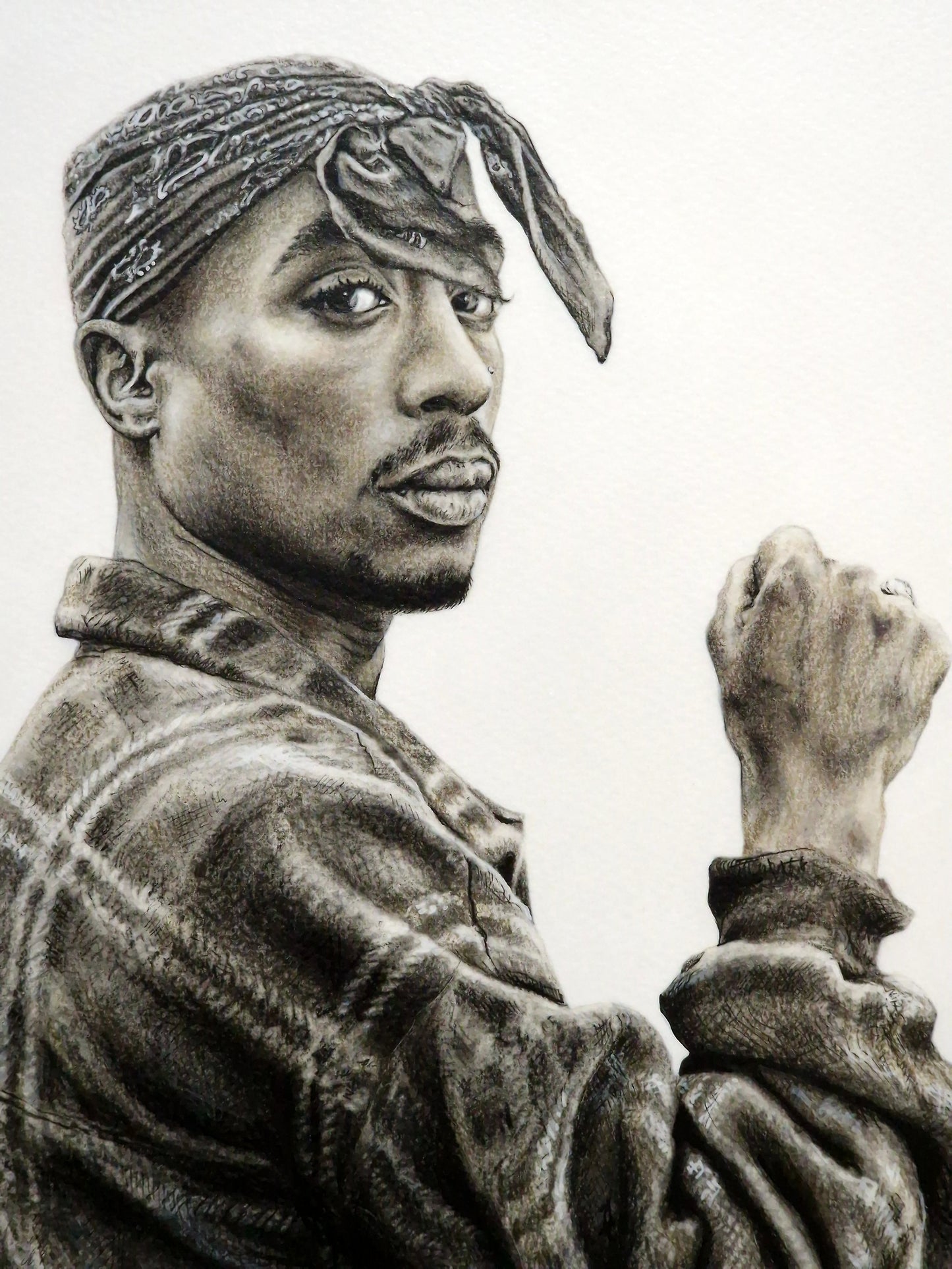 The Rose That Grew From Concrete